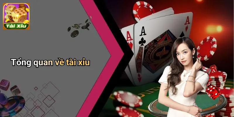 Cầu Đảo Tài Xỉu