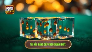 cách chơi tài xỉu cho người mới
