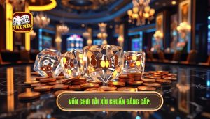 Bao nhiêu vốn là hợp lý để chơi tài xỉu? Cẩm nang quản lý tài chính cho tân thủ